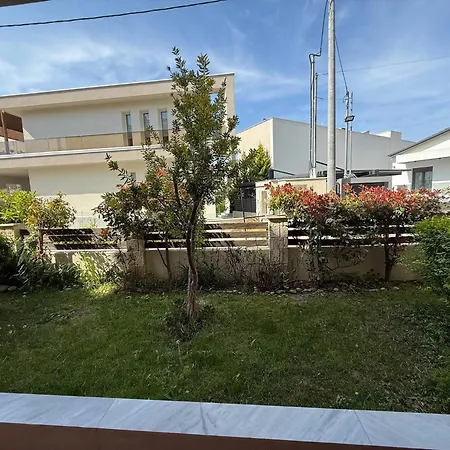 Viktoria * بيفكوهوري